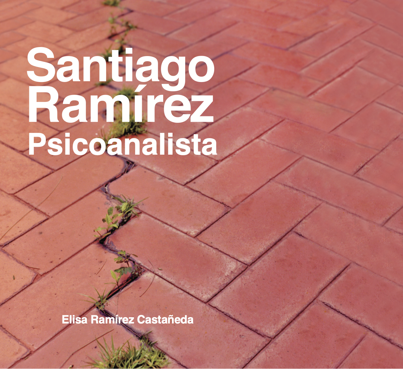 Portada de Santiago Ramírez psicoanalista ideas, anécdotas, casos, fragmentos y aforismos tomados de sus seminarios 1977-1980